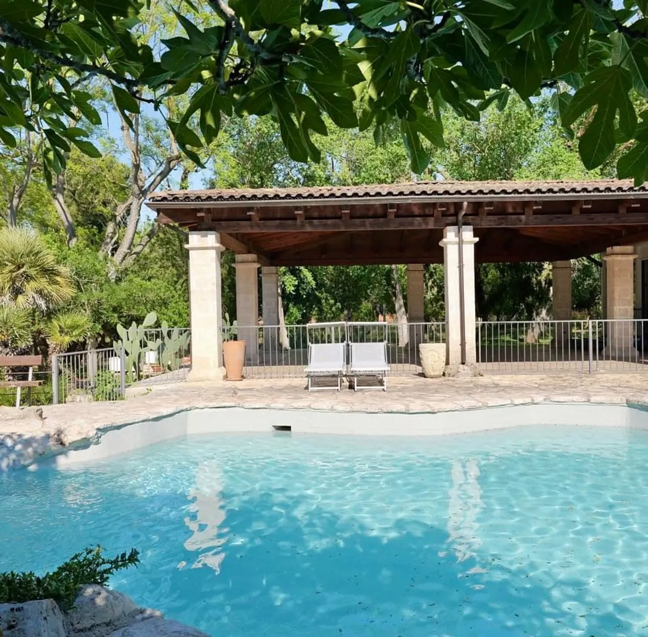 The masseria swimming pool, with a pergola and loungers among the trees